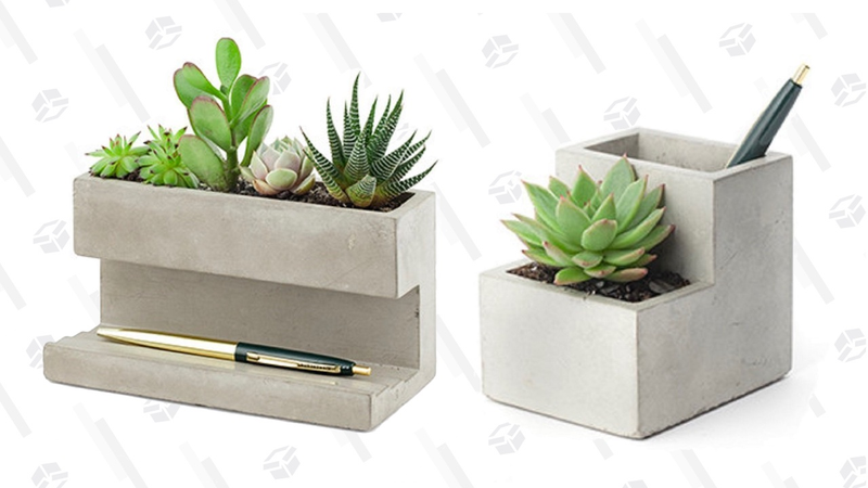 Kikkerland Concrete Desktop Planter, Large | $24 | AmazonKikkerland Concrete Desktop Planter, Small | $12 | Amazon